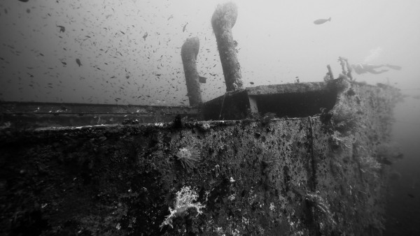 Wreck B&W by Michael Brown